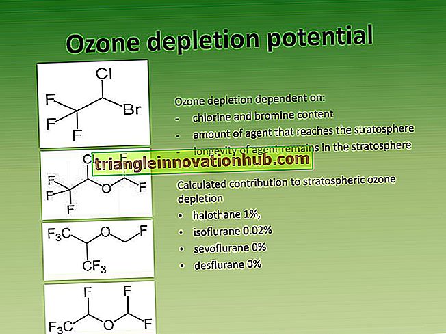 Ozono sluoksnio išeikvojimas: (poveikis ir priemonės) - kalba
