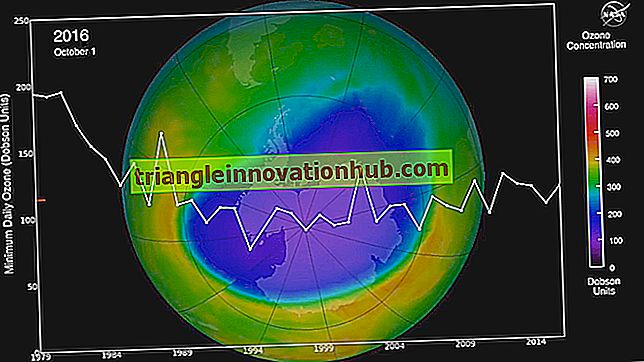 Ozono sluoksnio išsekimas: pasekmės ir Monrealio protokolas - kalba