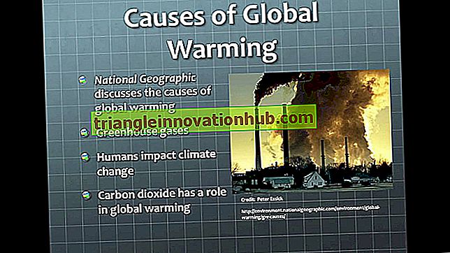 Rede zur globalen Erwärmung: Ursachen, Anzeichen und Auswirkungen - Rede