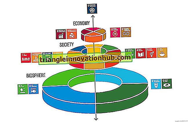 معايير قياس التنمية المستدامة: كما اقترح الاقتصاديون - تنمية مستدامة