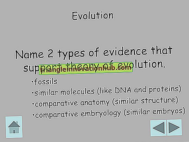 Lamarckism نظرية التطور: الدليل ، مثال في الدعم والنقد - نظريات