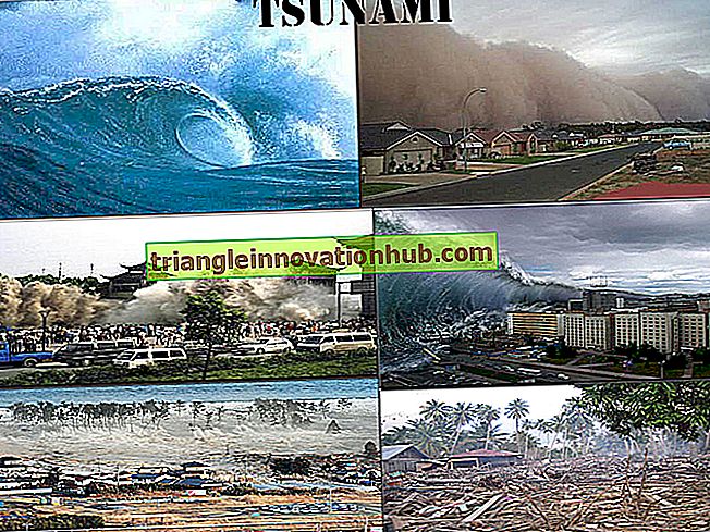 4 hovedårsager til dannelse af tsunami - forklaret!