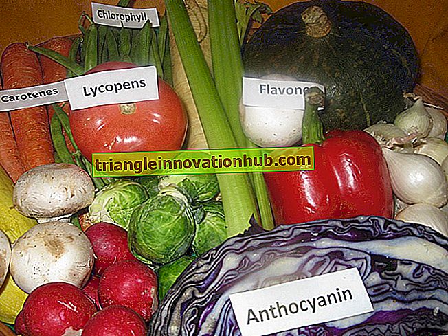 Pigmenter til stede i grøntsager - grøntsager