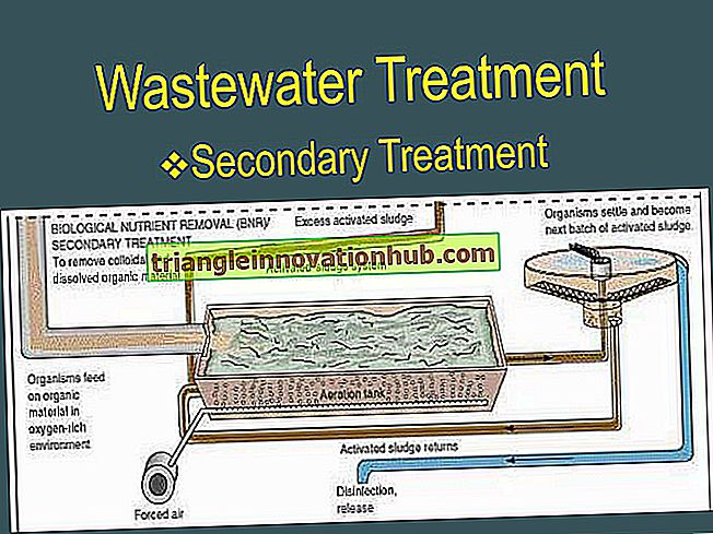 Tratamento Secundário de Águas Residuais (Com Diagrama) - poluição da água