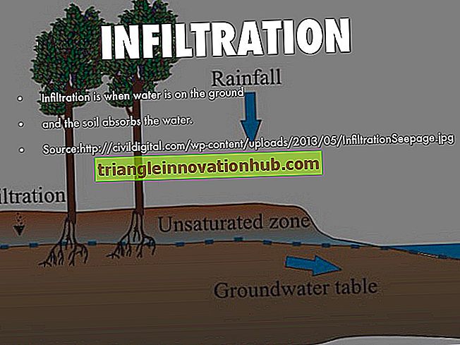 Infiltration von Wasser: Bedeutung und Faktoren - Wasser