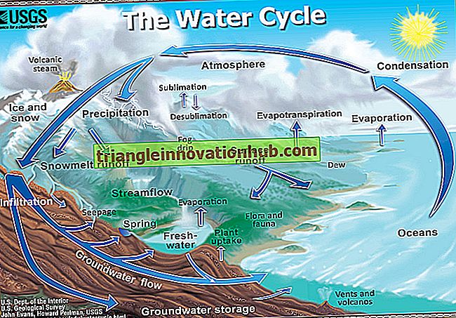 La transpiration: signification, facteurs et mesure - eau