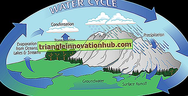 Cycle hydrologique - (expliqué avec le diagramme) - eau