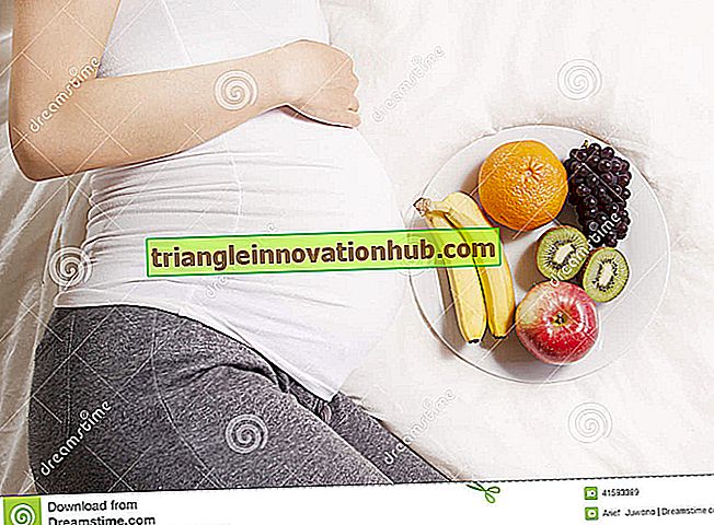 Requerimientos nutricionales durante el embarazo de una mujer - mujer